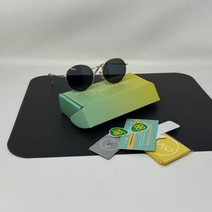 WearMe Pro - nevada Sunglasses round metal polarized